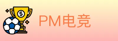 PM电竞 logo